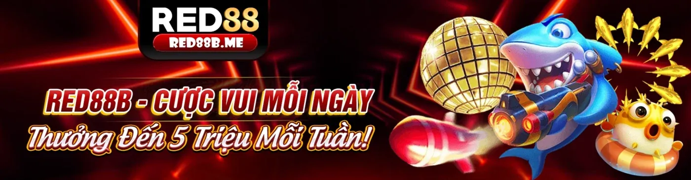 Điều khoản Dịch vụ của 990k trang chủ chính thức